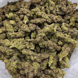 Purple OG Kush (Exotic)