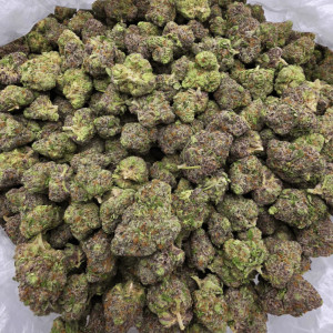 White Truffle (Exotic)